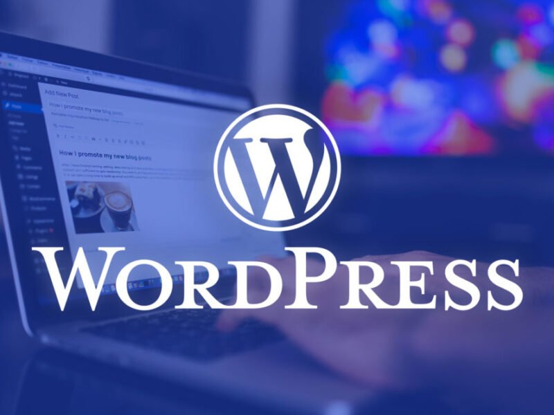 I will build clean and professional WordPress website design or blog